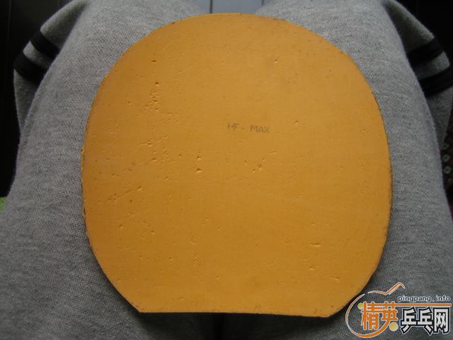 ���³���Ƥ��sriver G2������ŷ����2��donic alpha slick