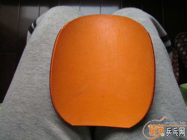 ���³���Ƥ��sriver G2������ŷ����2��donic alpha slick