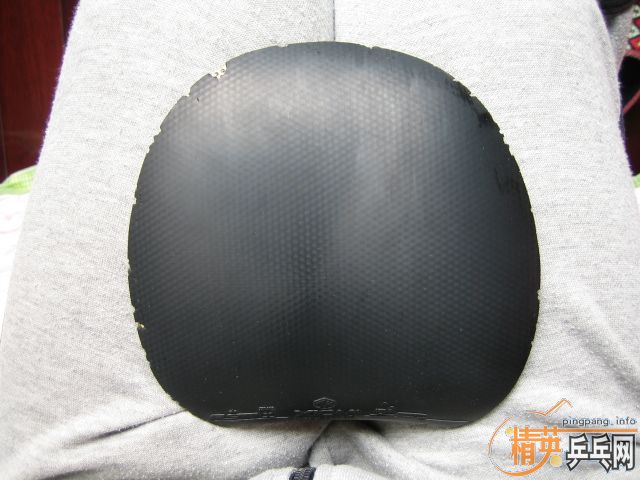 ���³���Ƥ��sriver G2������ŷ����2��donic alpha slick