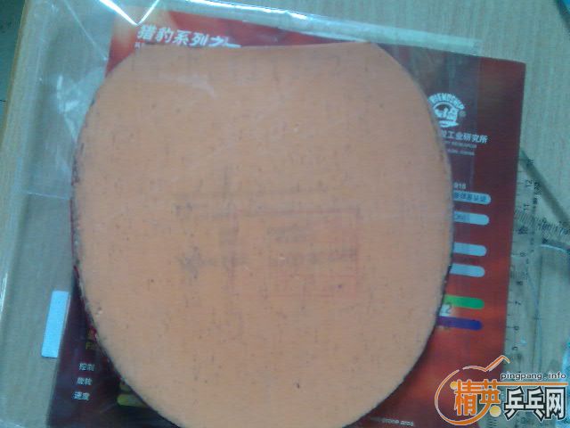 ���켫��ʡ��Ƥ-->liuzongangת��