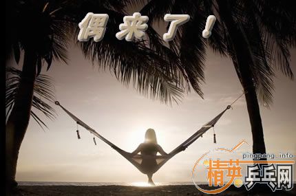 ����ÿ�ձ�������