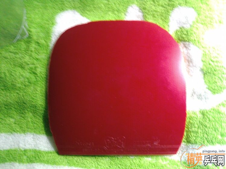 ����������10.5�����ۣ�������95��YSC��