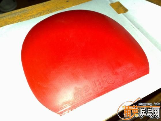 �����µ�ˮ��̼����ˮ����