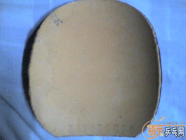 �����729-2