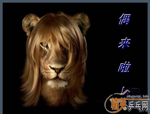 ����ÿ�ձ�������