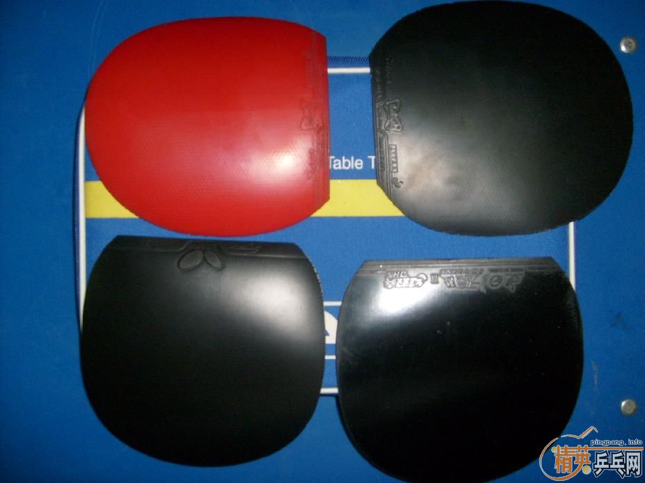 ������׽�--������޷������������˰�����