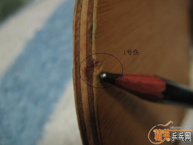 ��FL��С������(power),����Ҳ��