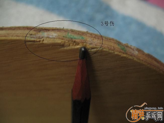 ��FL��С������(power),����Ҳ��