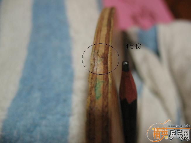 ��FL��С������(power),����Ҳ��