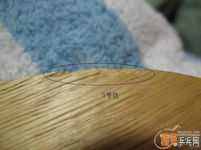 ��FL��С������(power),����Ҳ��