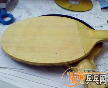 ������ֻ