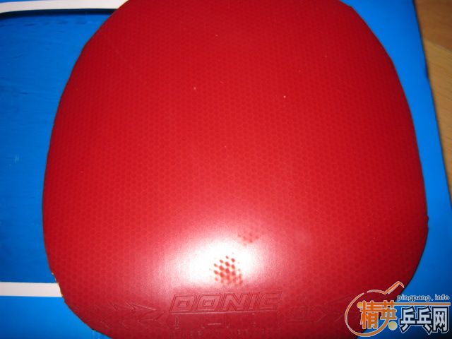 ��С���ѳ���DONIC�׽�