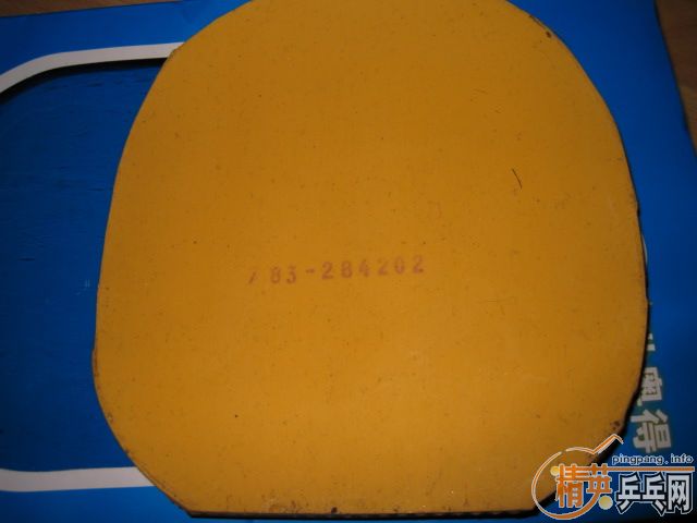 ��С���ѳ���DONIC�׽�