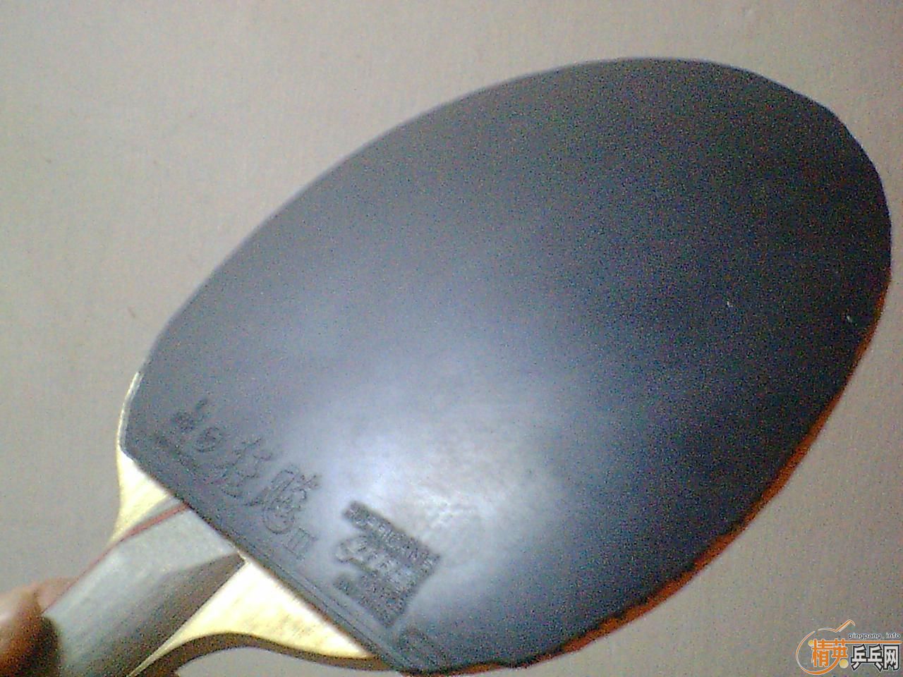 �ٽ��� �����¾����� ͦ��Alpha��FL��������