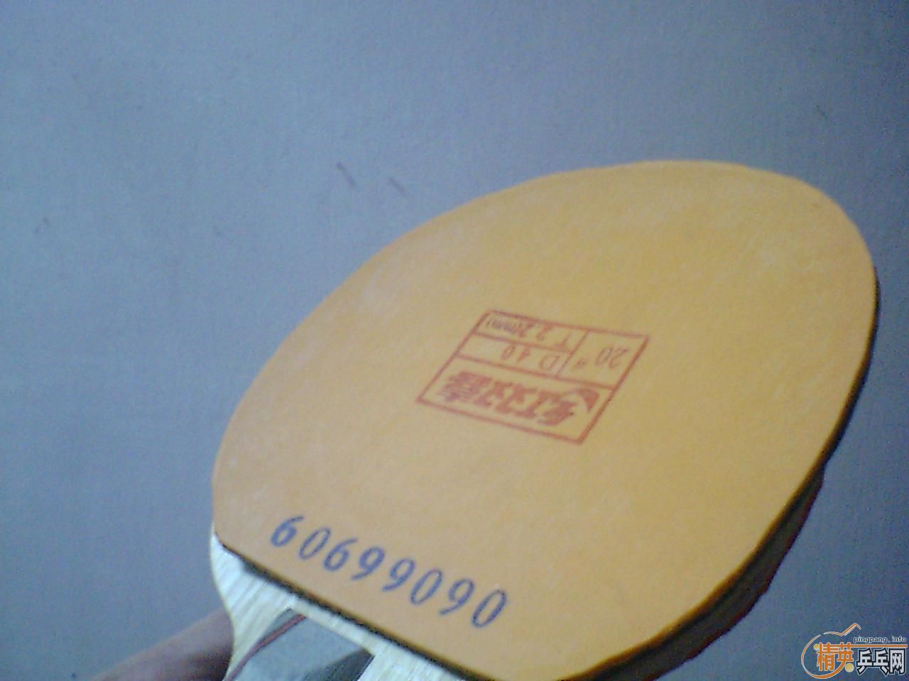 �ٽ��� �����¾����� ͦ��Alpha��FL��������