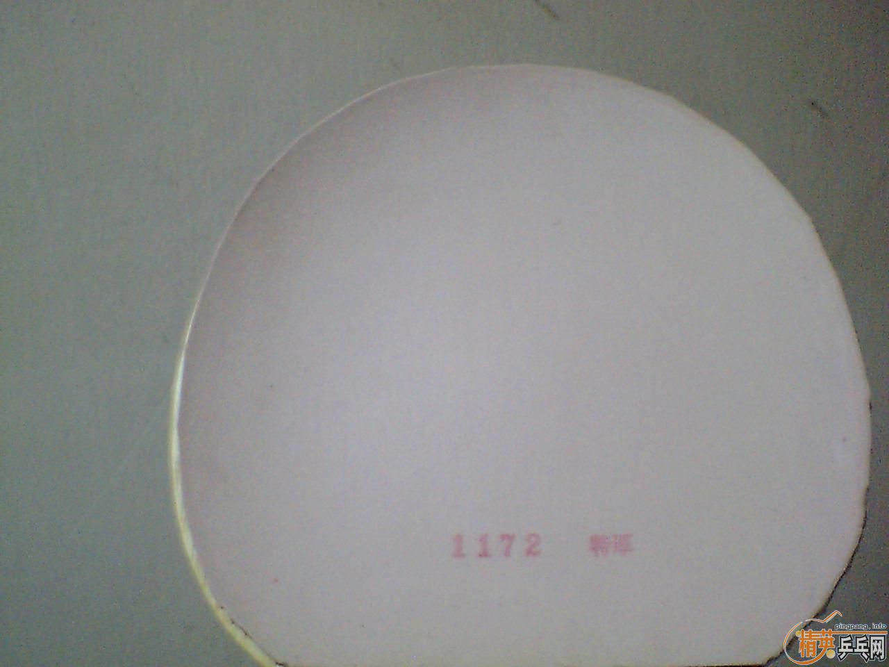 �ٽ��� �����¾����� ͦ��Alpha��FL��������