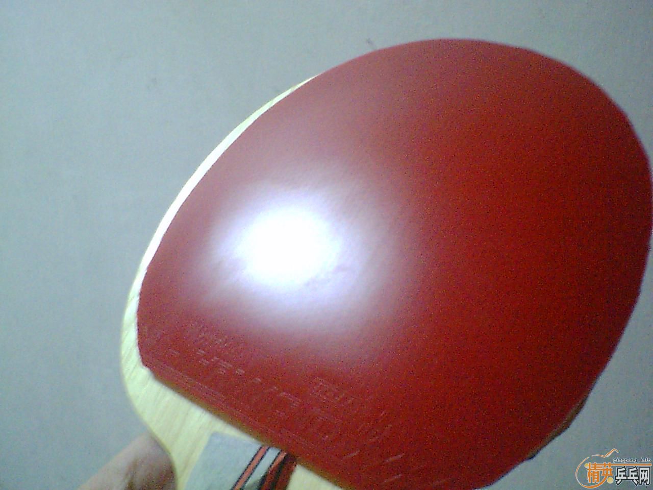 �ٽ��� �����¾����� ͦ��Alpha��FL��������