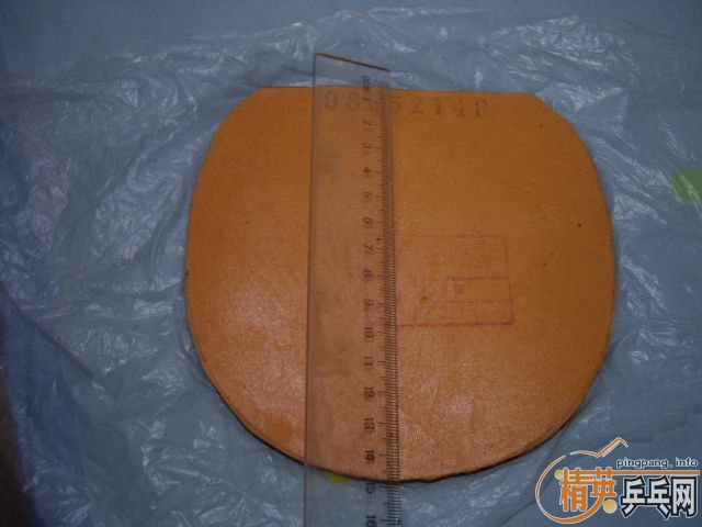 ���������Ƚ��µ��׽�