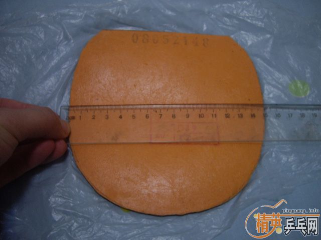 ���������Ƚ��µ��׽�