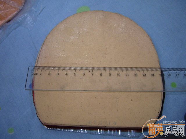 ���������Ƚ��µ��׽�