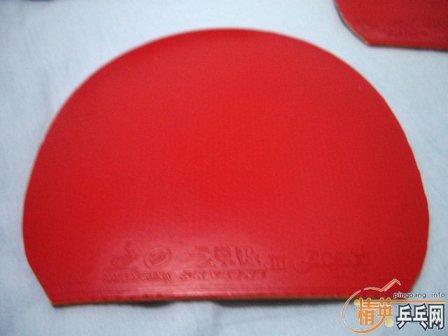 ���������Ƚ��µ��׽�