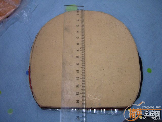 ���������Ƚ��µ��׽�