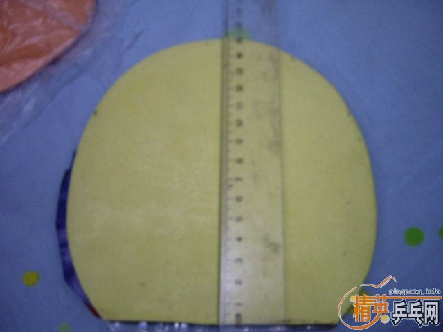 ���������Ƚ��µ��׽�