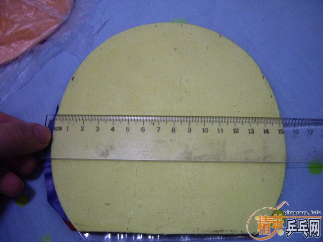 ���������Ƚ��µ��׽�