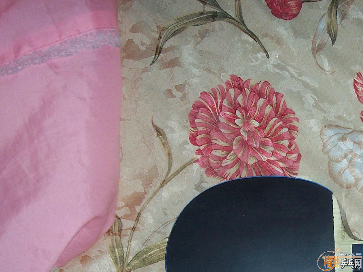 ������ͼ��׽�