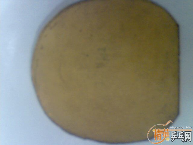 �����齺Ƥ ���� �տ� �Ե�