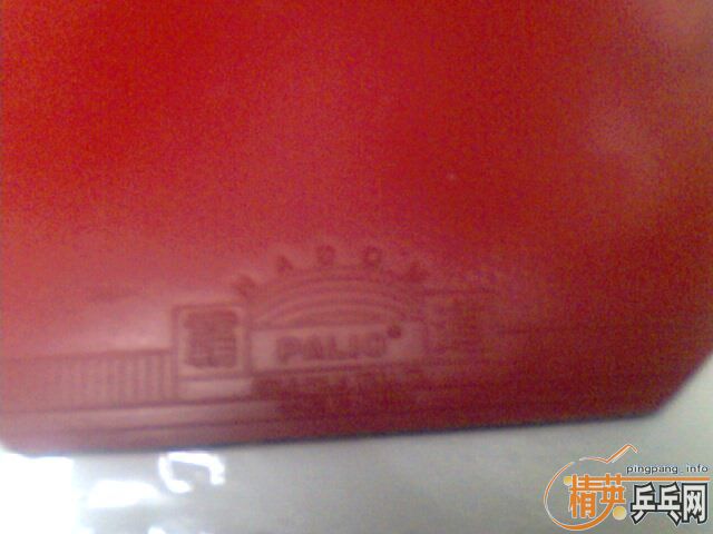 �����齺Ƥ ���� �տ� �Ե�