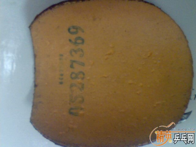 �����齺Ƥ ���� �տ� �Ե�