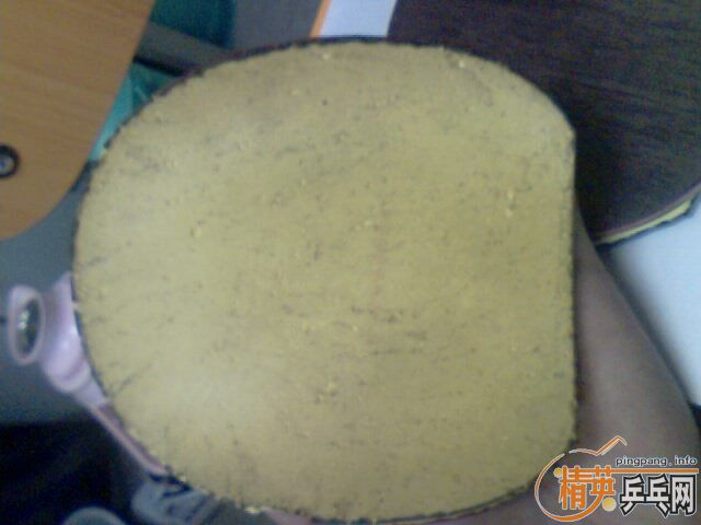 �����齺Ƥ ���� �տ� �Ե�