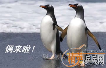 ����ÿ�ձ�������