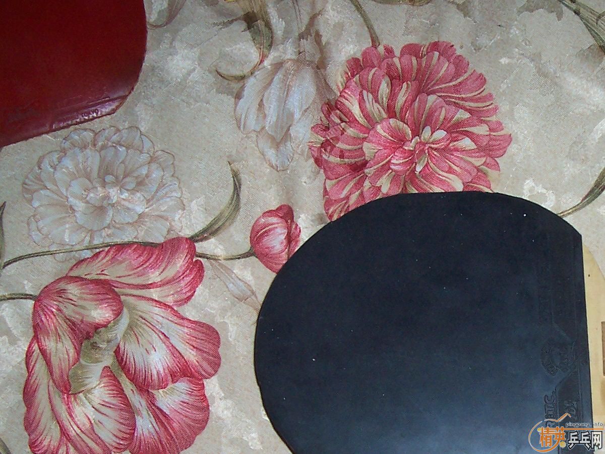 ��������T2����һֻ�����ã�����