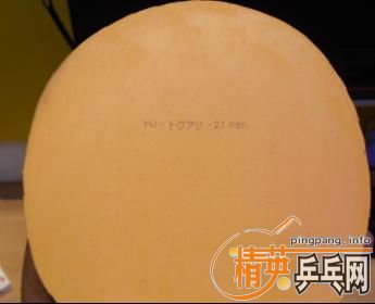 ST���Ʊ�ţǳ����׽�,EL2.1/JO����