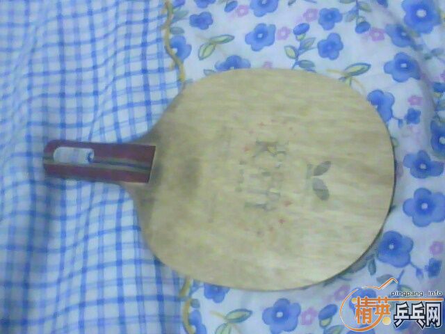 ��һ�γ����ɹ�������һ��ų��µĺ������ﺣΰ����Ҫ���ǵ�����