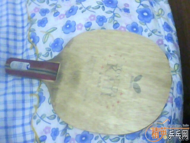 ��һ�γ����ɹ�������һ��ų��µĺ������ﺣΰ����Ҫ���ǵ�����