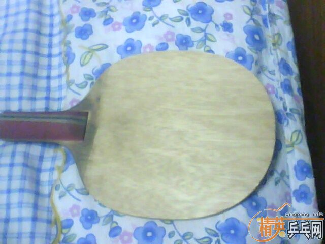 ��һ�γ����ɹ�������һ��ų��µĺ������ﺣΰ����Ҫ���ǵ�����