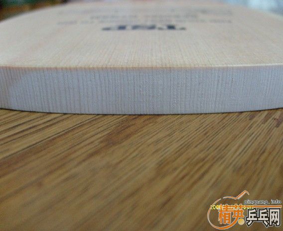 SPECIAL DYNAM TSP ��ֱ