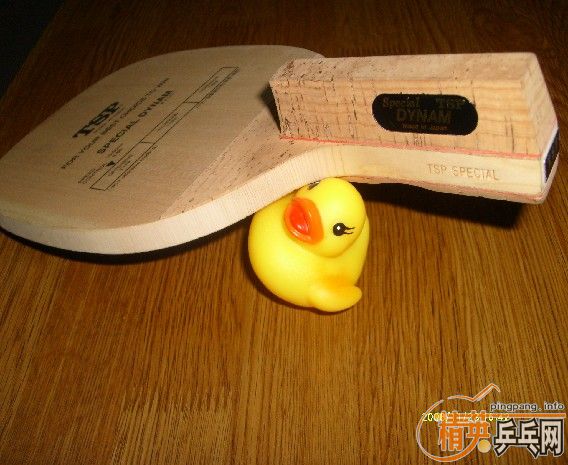 SPECIAL DYNAM TSP ��ֱ