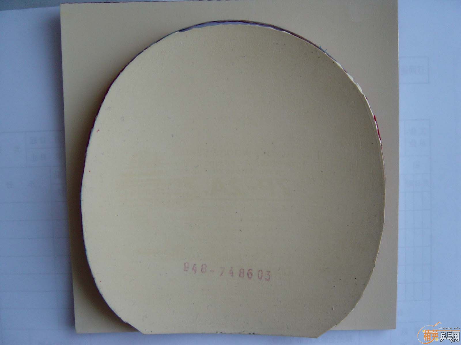 ��ANDRO ROXON 500 �� �� F1-HS��ڸ�һ