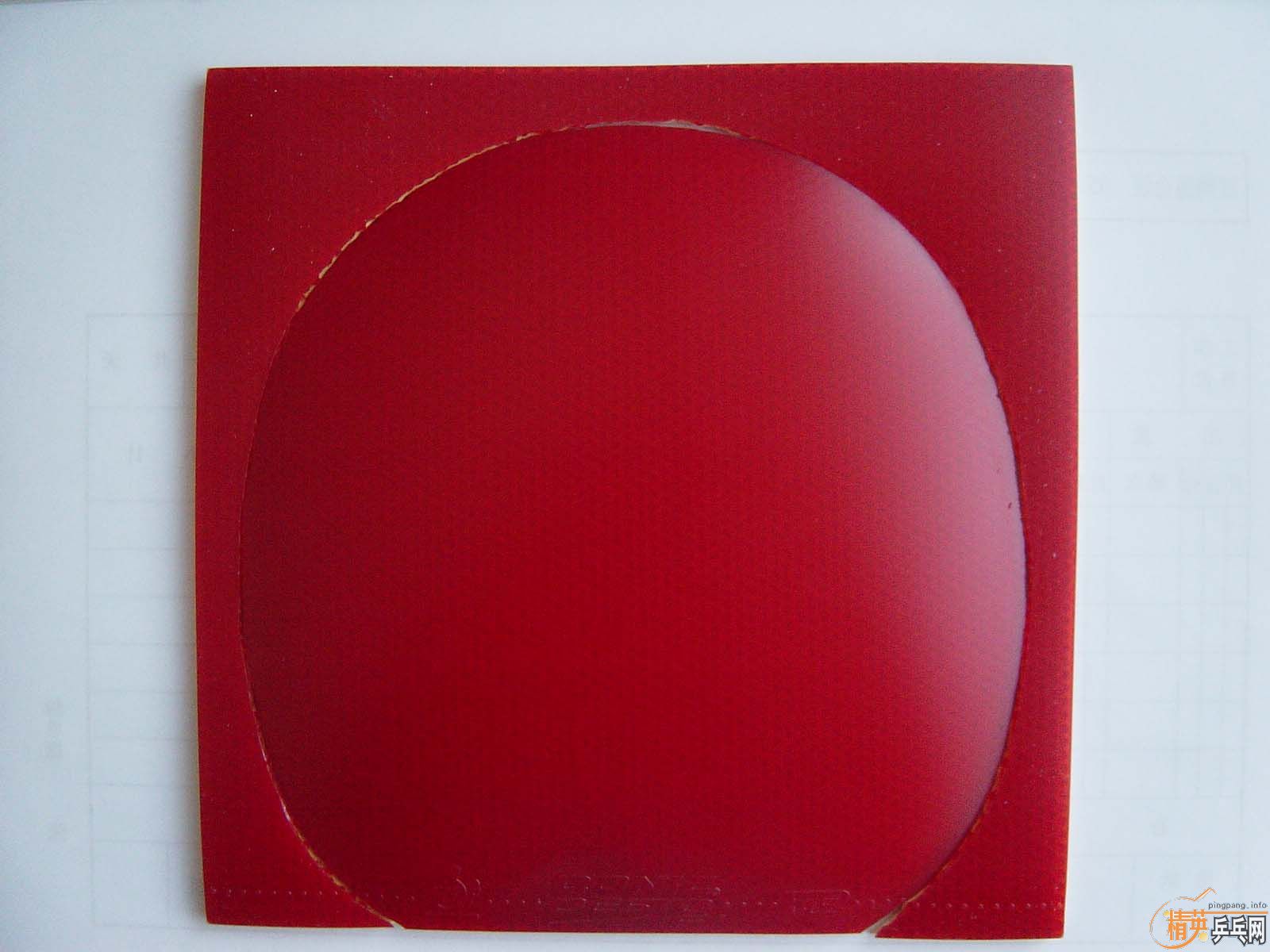 ��ANDRO ROXON 500 �� �� F1-HS��ڸ�һ