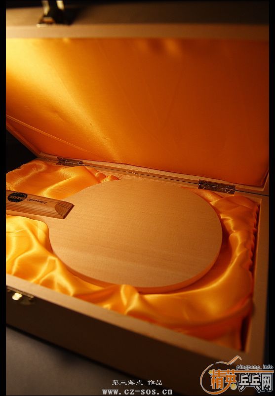 [����]��˾�Ʒװ��չʾ������Ҷ�������