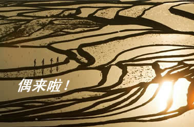 ����ÿ�ձ�������