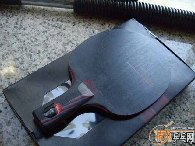 �����Ի���������̼9.8ֱ ��