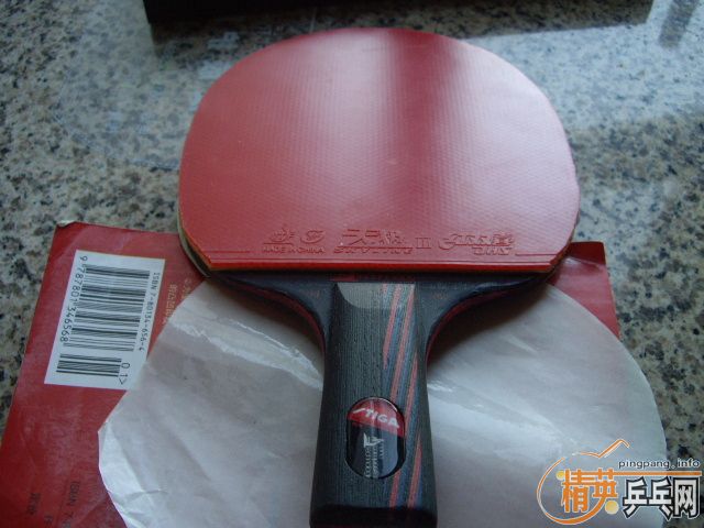 �����Ի���������̼9.8ֱ ��