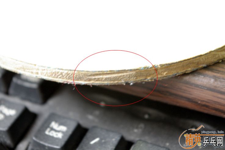 �Ϻ�������������