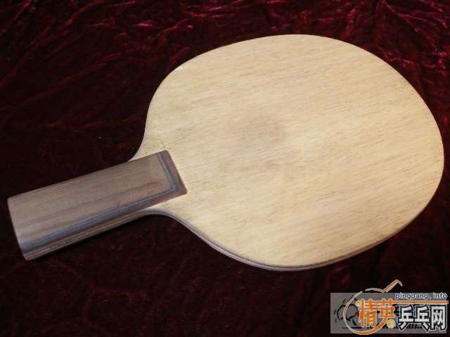 9.5��ֱС���ǿPOWER 450����