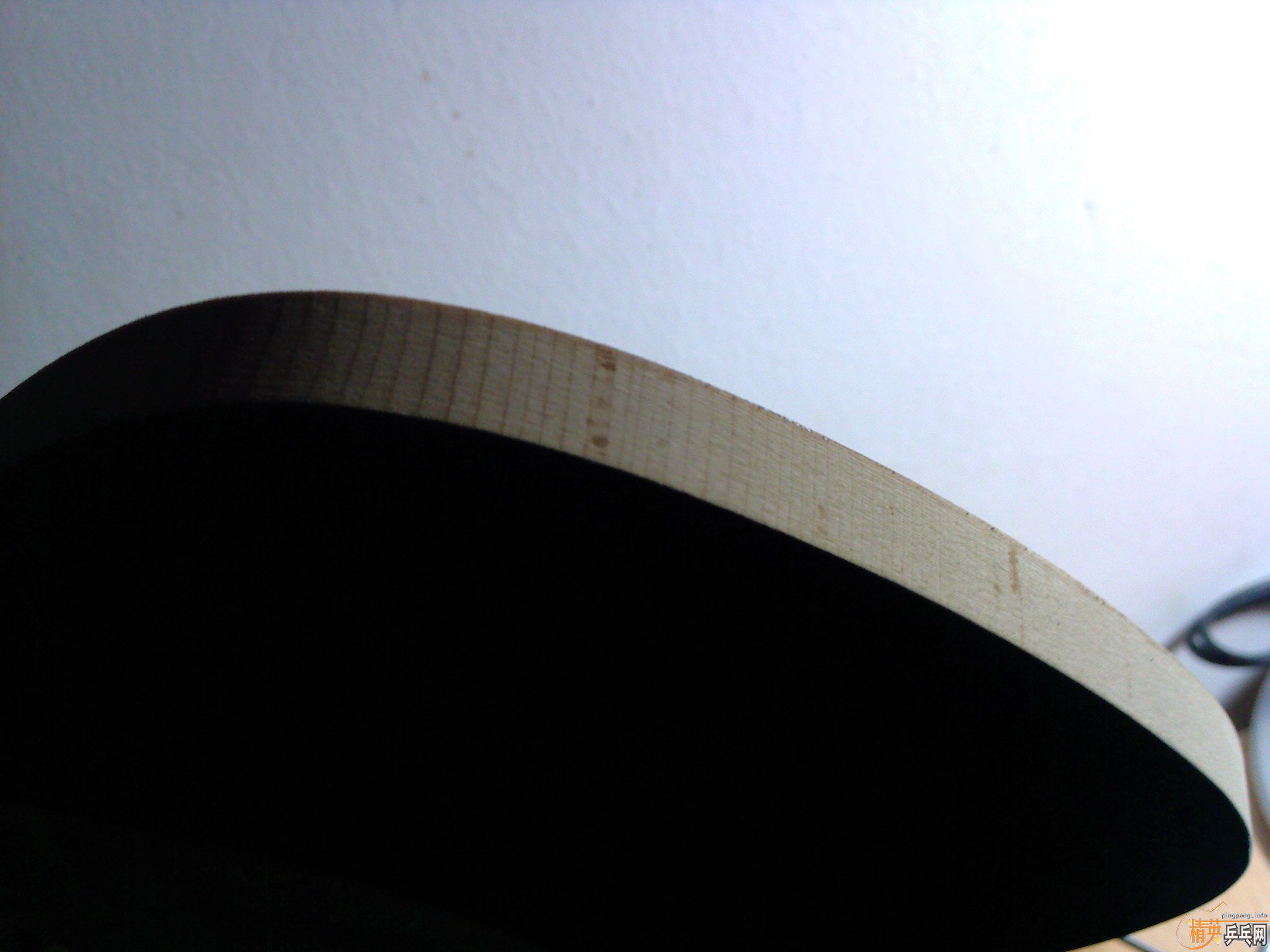 ������9.5�º���cypress-s